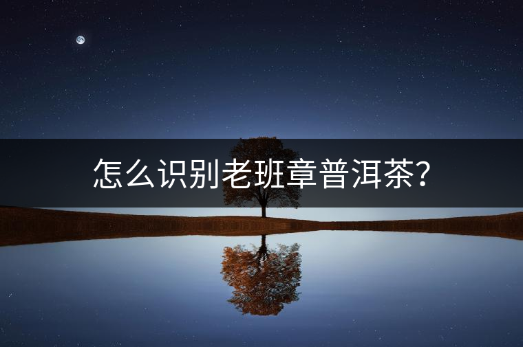 怎么識別老班章普洱茶？