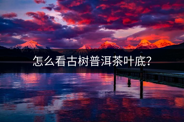 怎么看古樹(shù)普洱茶葉底？