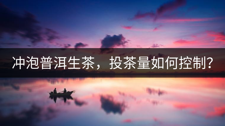 沖泡普洱生茶，投茶量如何控制？