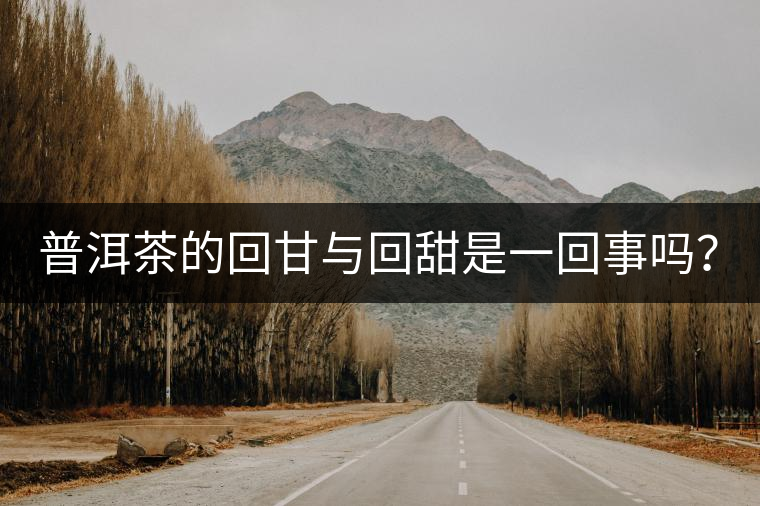 普洱茶的回甘與回甜是一回事嗎？？