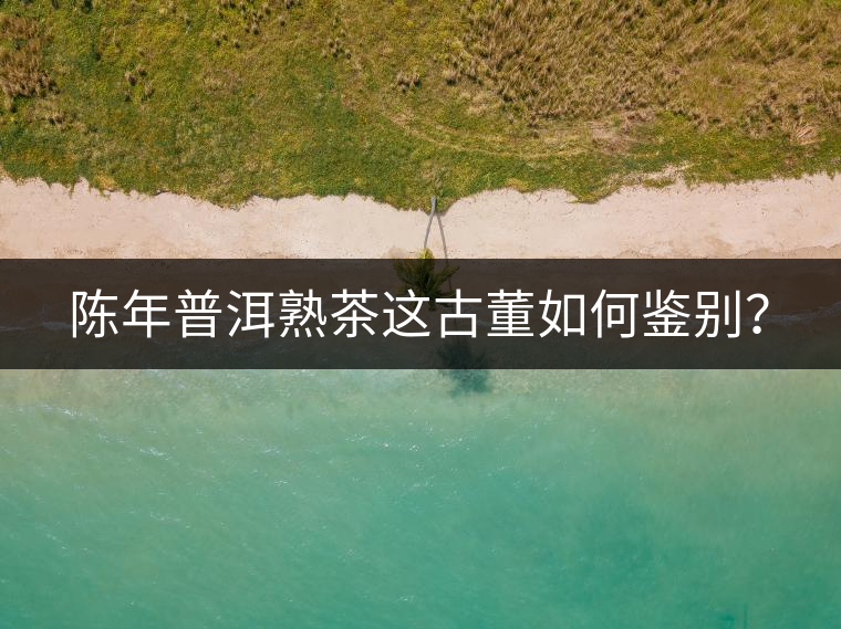 陳年普洱熟茶這古董如何鑒別？