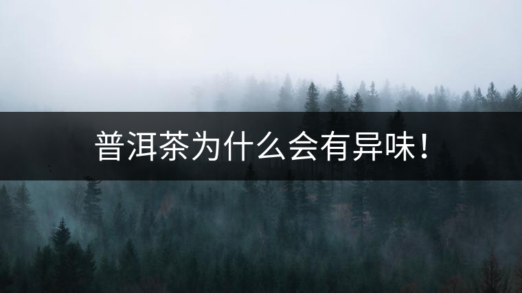 普洱茶為什么會(huì)有異味！