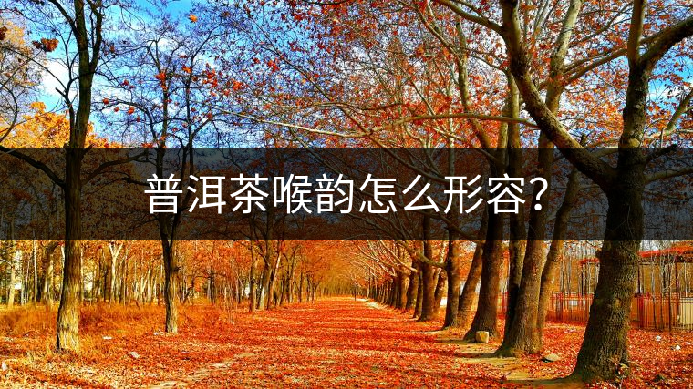 普洱茶喉韻怎么形容？