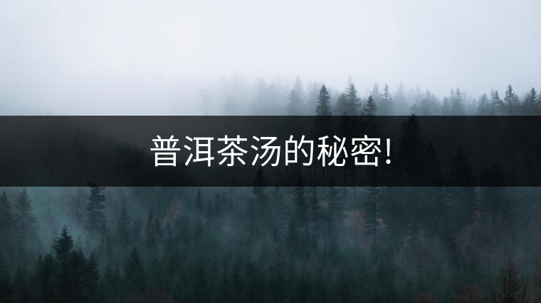 普洱茶湯的秘密! 普洱茶湯的秘密!