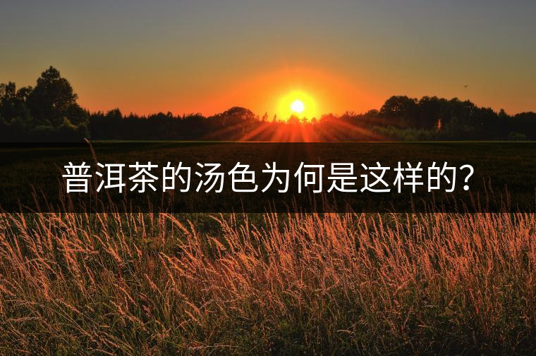 普洱茶的湯色為何是這樣的? 普洱茶的湯色為何是這樣的?