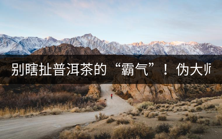 別瞎扯普洱茶的“霸氣”！偽大師！