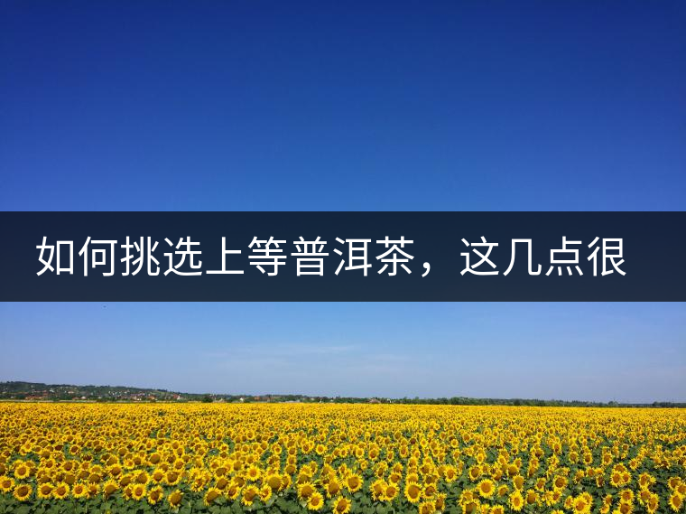 如何挑選上等普洱茶，這幾點(diǎn)很關(guān)鍵