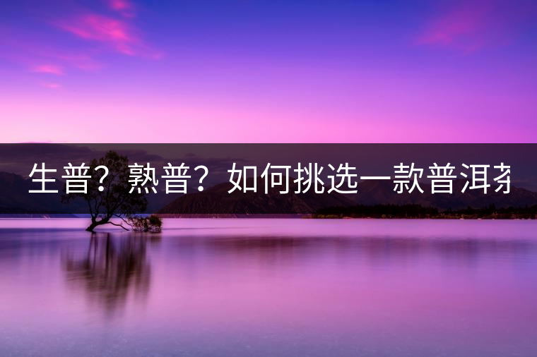 生普？熟普？如何挑選一款普洱茶？