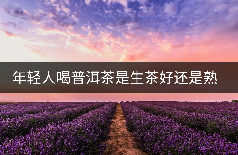 年輕人喝普洱茶是生茶好還是熟茶好？該怎么選擇？