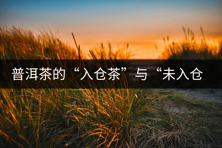 普洱茶的“入倉(cāng)茶”與“未入倉(cāng)茶”如何區(qū)分，你造嗎？