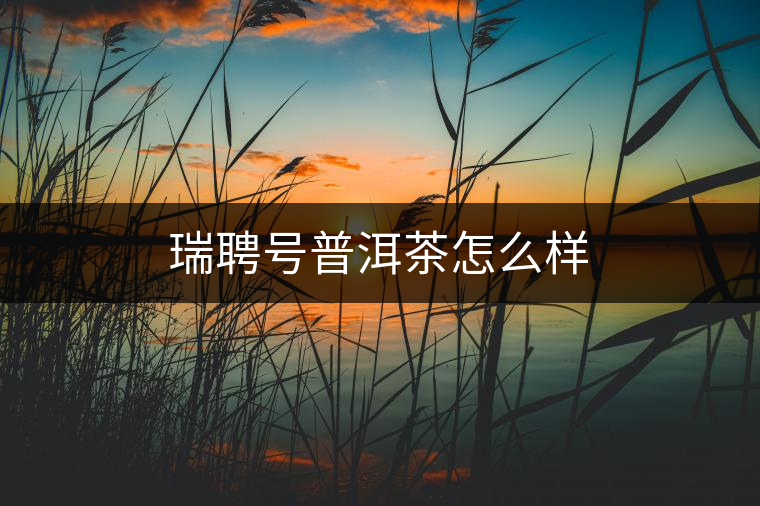 瑞聘號(hào)普洱茶怎么樣