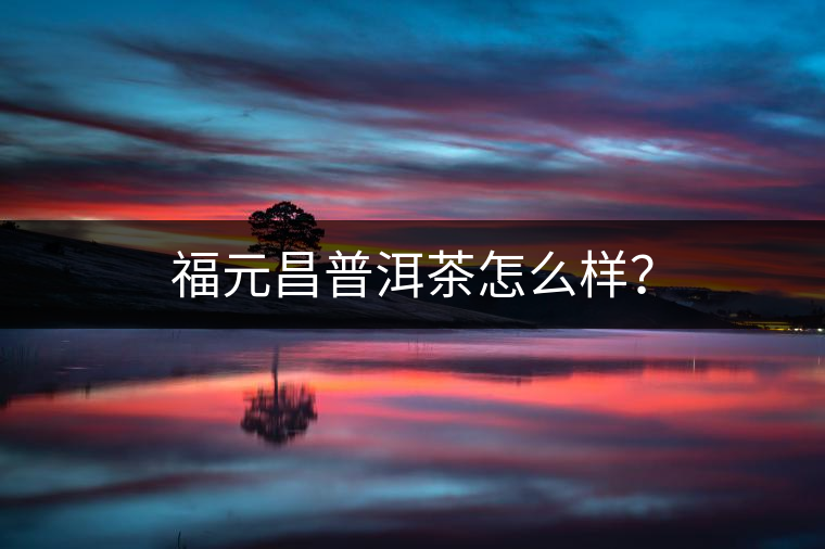 福元昌普洱茶怎么樣？