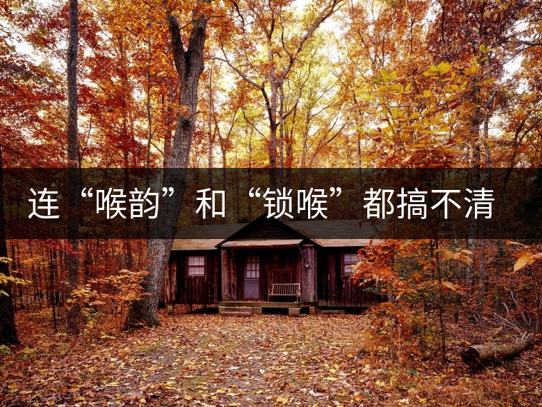 連“喉韻”和“鎖喉”都搞不清楚，就不要說懂普洱茶！