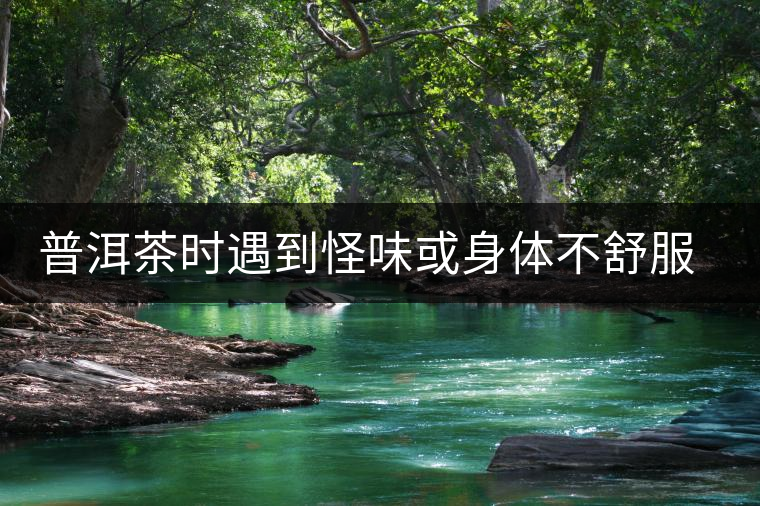 普洱茶時遇到怪味或身體不舒服時，怎么破？