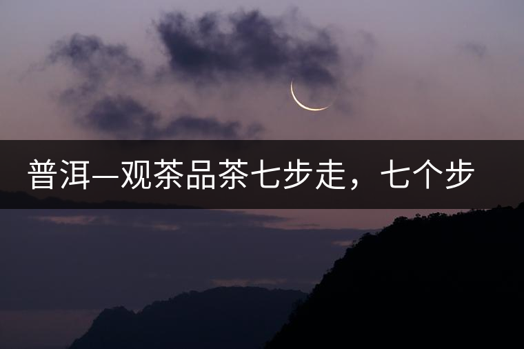 普洱—觀茶品茶七步走，七個步驟，喝懂普洱茶