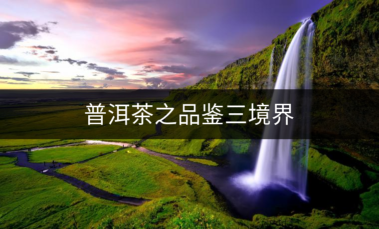 普洱茶之品鑒三境界