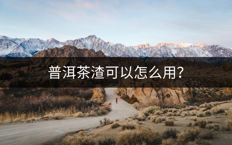 普洱茶渣可以怎么用？