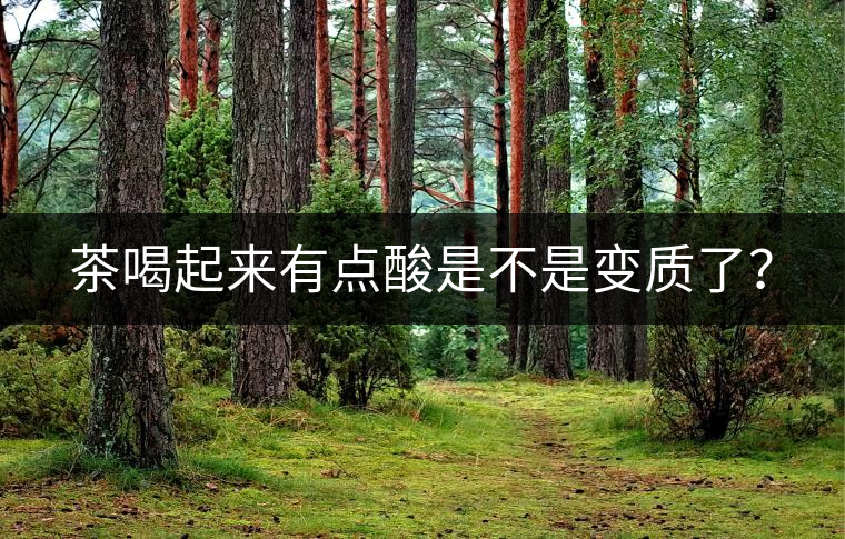 茶喝起來有點(diǎn)酸是不是變質(zhì)了？