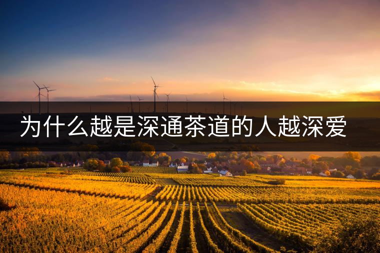 為什么越是深通茶道的人越深愛普洱茶？喜歡普洱茶，有三個(gè)原因。