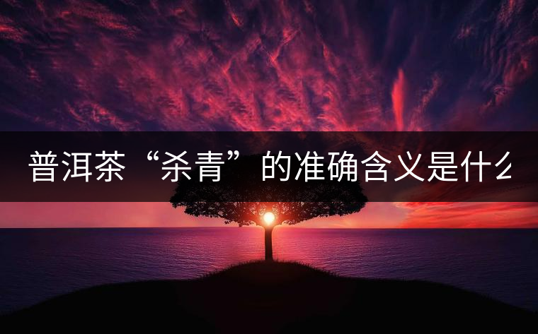 普洱茶“殺青”的準確含義是什么？