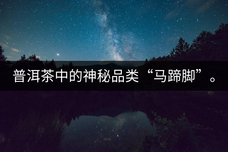 普洱茶中的神秘品類“馬蹄腳”。