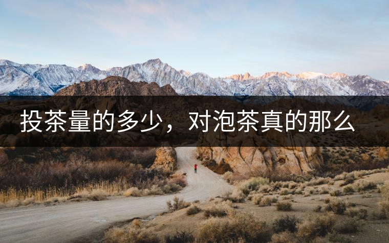 投茶量的多少，對(duì)泡茶真的那么重要嗎？