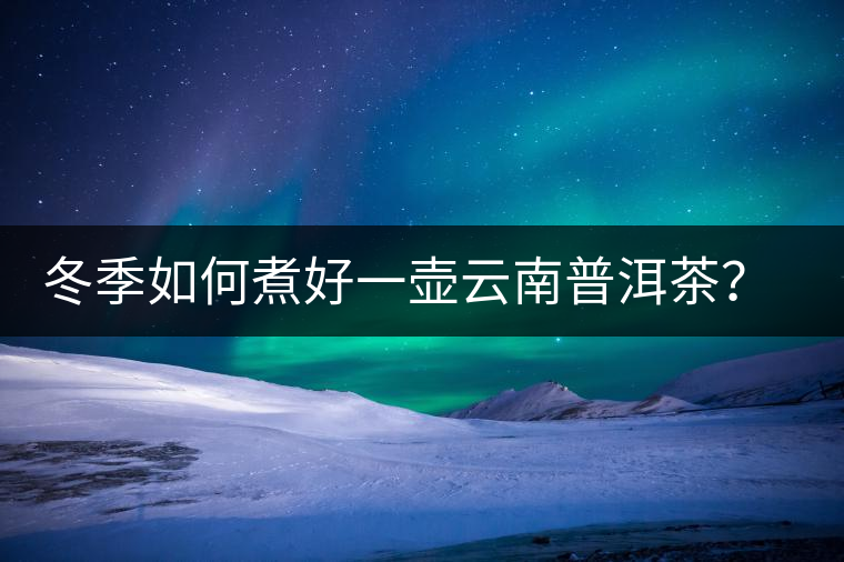 冬季如何煮好一壺云南普洱茶？記好這份煮茶攻略