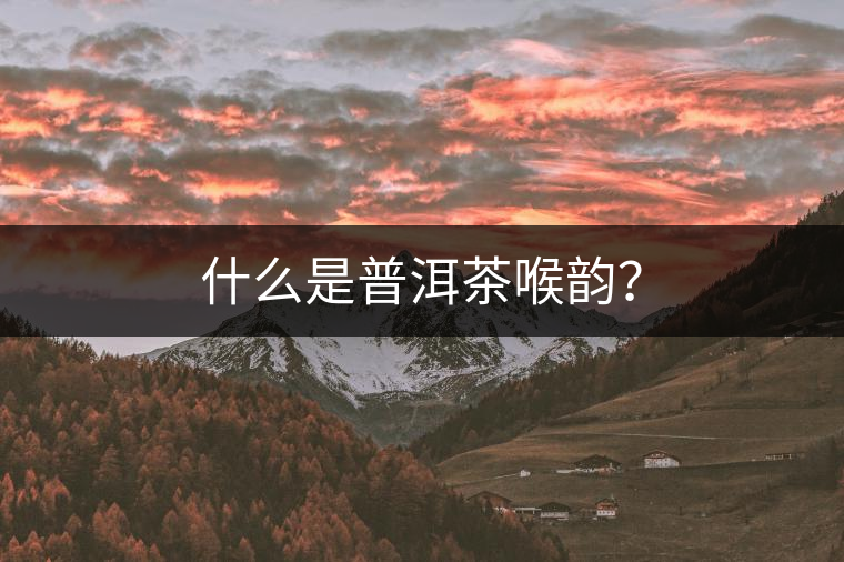什么是普洱茶喉韻？