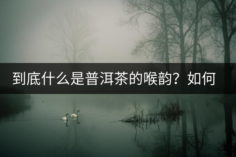 到底什么是普洱茶的喉韻？如何感受？