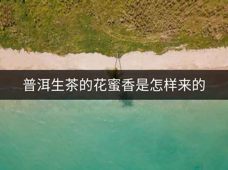 普洱生茶的花蜜香是怎樣來(lái)的
