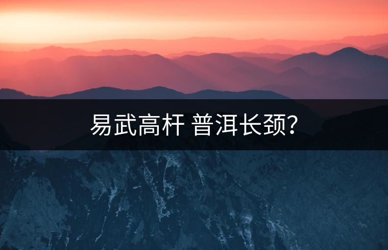 易武高桿 普洱長頸？