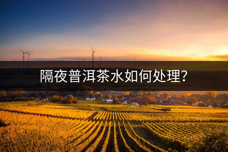 隔夜普洱茶水如何處理？