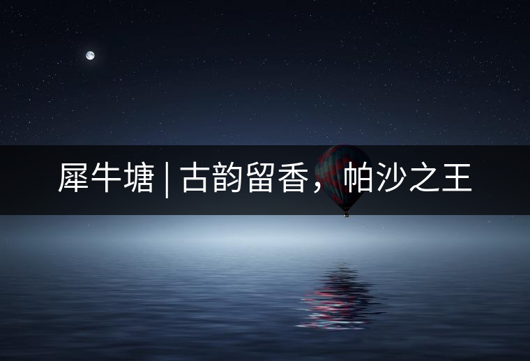 犀牛塘 | 古韻留香，帕沙之王