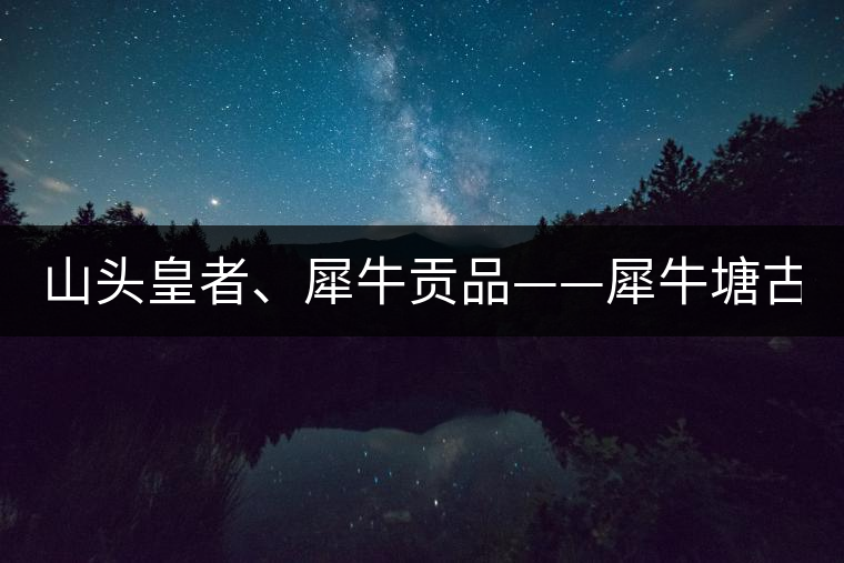 山頭皇者、犀牛貢品——犀牛塘古樹茶！