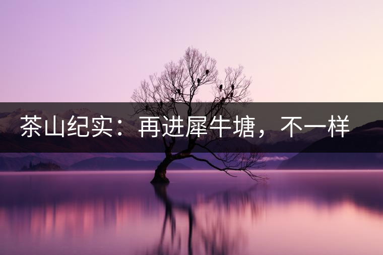 茶山紀實：再進犀牛塘，不一樣的感覺；菁瑤可以預見的豐收年