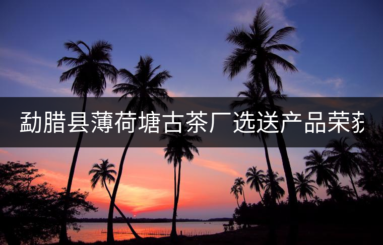 勐臘縣薄荷塘古茶廠選送產(chǎn)品榮獲2022年中港普洱茶博覽會(huì)金獎(jiǎng)