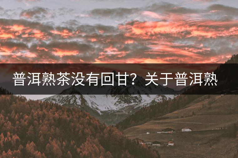 普洱熟茶沒有回甘？關于普洱熟茶的這些知識你必須知道！