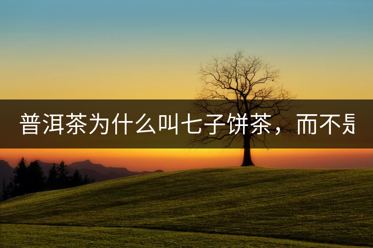 普洱茶為什么叫七子餅茶，而不是六子餅、八子餅......？