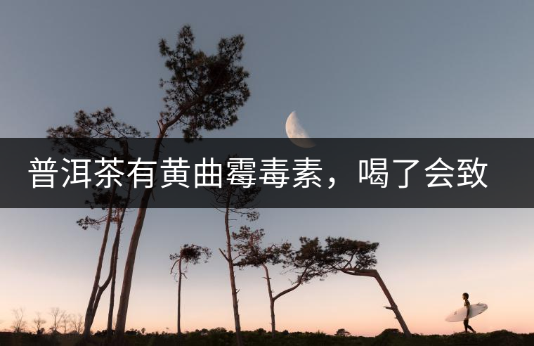 普洱茶有黃曲霉毒素，喝了會(huì)致癌？不黑不吹，咱用事實(shí)說話