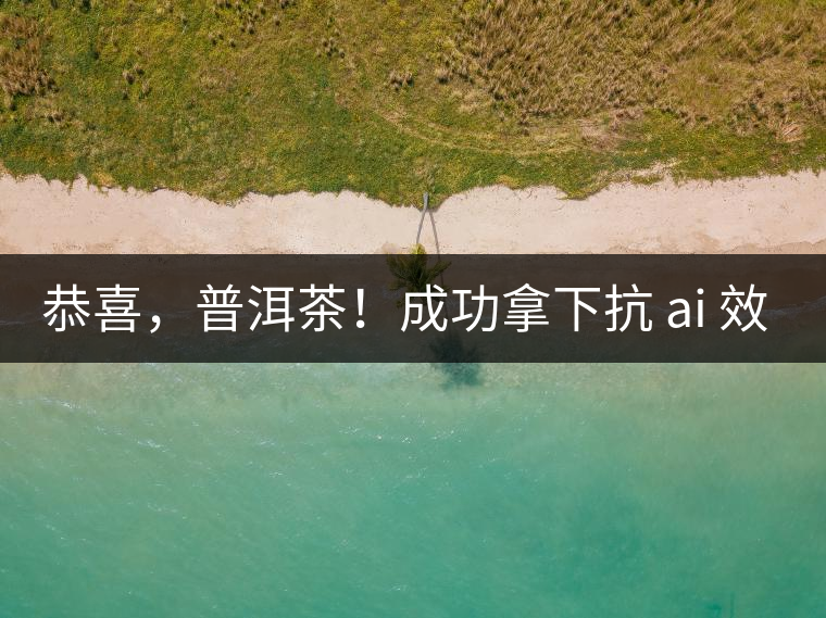 恭喜，普洱茶！成功拿下抗 ai 效果第二名！