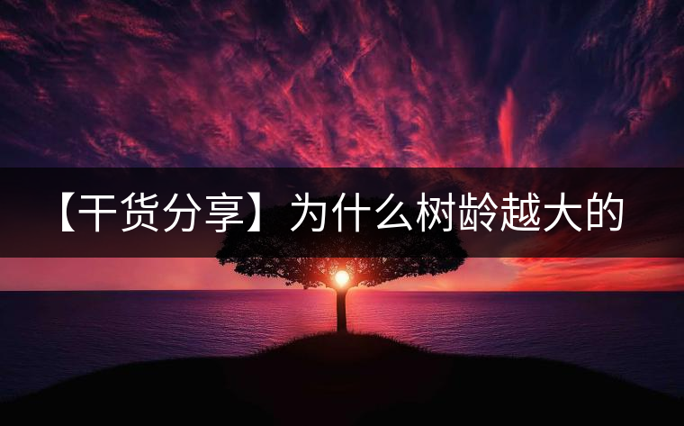 【干貨分享】為什么樹齡越大的普洱生茶，苦味越容易化掉？