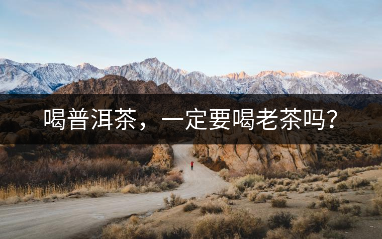 喝普洱茶，一定要喝老茶嗎？