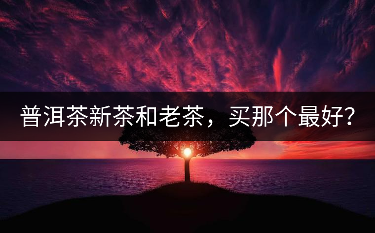 普洱茶新茶和老茶，買那個(gè)最好？