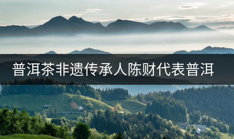 普洱茶非遺傳承人陳財(cái)代表普洱市參加云南省第十九屆職工職業(yè)技能大賽·評茶員技能決賽