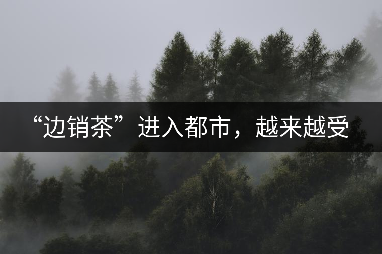 “邊銷茶”進(jìn)入都市，越來(lái)越受人們青睞