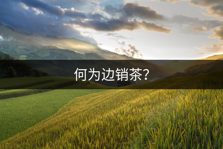 何為邊銷茶? 何為邊銷茶?