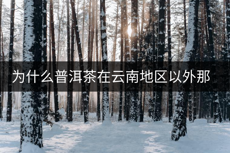 為什么普洱茶在云南地區(qū)以外那么受歡迎？