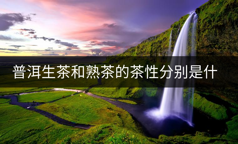 普洱生茶和熟茶的茶性分別是什么？涼性還是熱性？