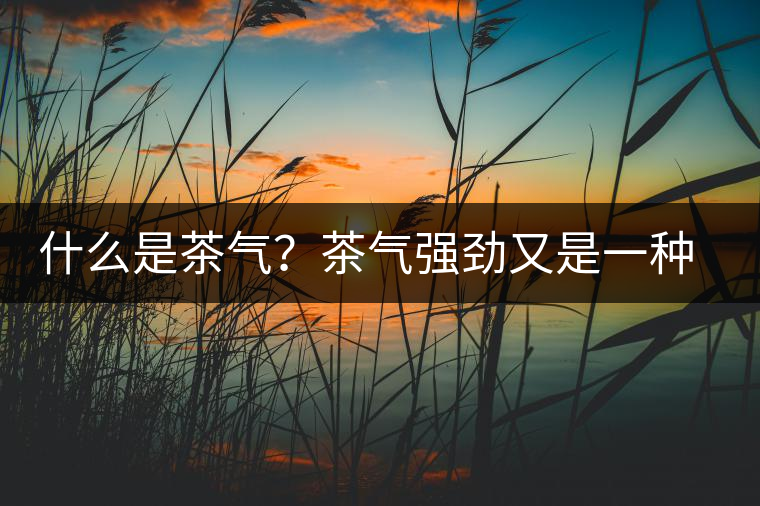 什么是茶氣？茶氣強勁又是一種怎樣的體驗？