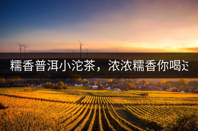 糯香普洱小沱茶，濃濃糯香你喝過嗎？